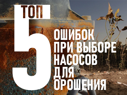 Топ-5 ошибок при выборе насоса для орошения (и как их избежать со Zvezda RUS)