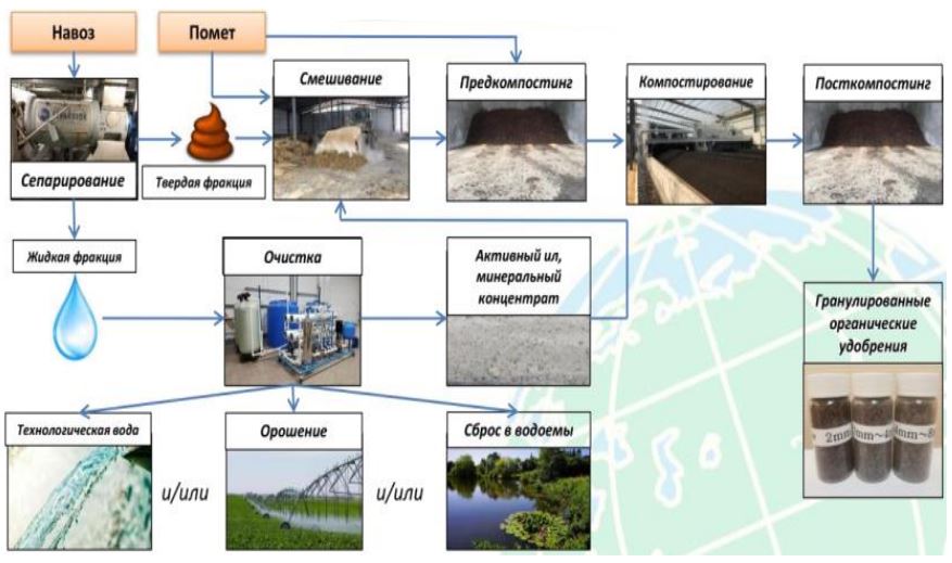 Схема безопасной и безотходной переработки (утилизации) побочных продуктов (отходов) животноводства