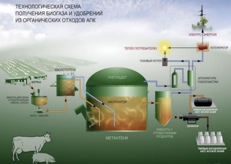 Технологическая схема получения биогаза и удобрений из органических отходов АПК